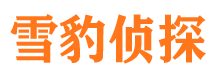 安庆出轨调查